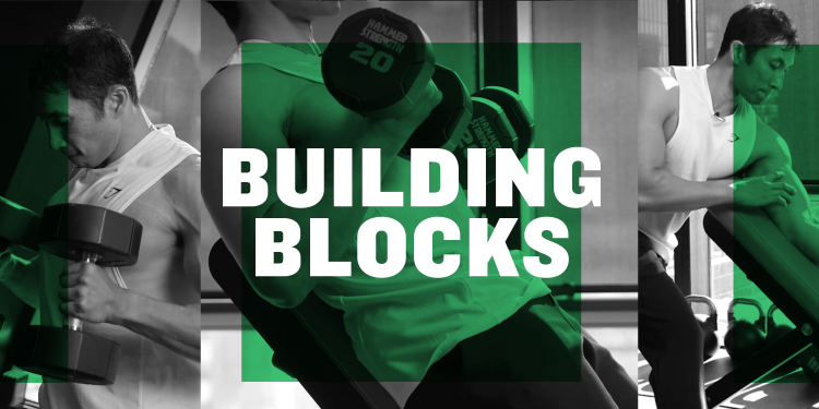 These 4 Principles Will Be Your Building Blocks for More Muscle