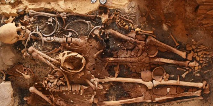 18 ancient Egyptian tombs with dozens of gold ‘tongues’ discovered along the Mediterranean coast