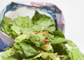 UKHSA assessment features E. coli and Salmonella examples