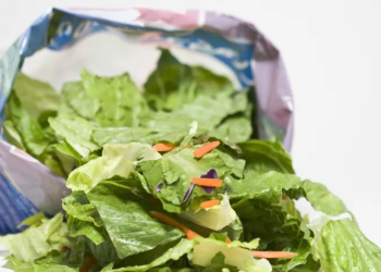 UKHSA assessment features E. coli and Salmonella examples