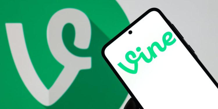 Vine reboot, diVine, is out now to save us from AI slop