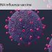 FDA Staff Weigh In on Potential First mRNA Flu Shot