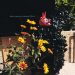 Sarabande Foundation Opens Its New Home in Tottenham