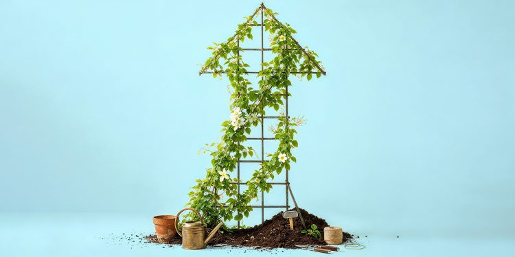 How Fast-Growing Companies Can Make Better Decisions