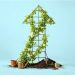 How Fast-Growing Companies Can Make Better Decisions