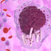 Chemo-Free Therapy in Pediatric Acute Promyelocytic Leukemia