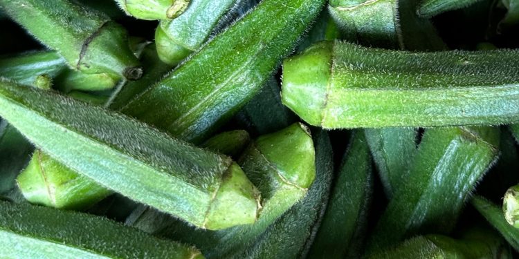Is Okra Water the Secret to Better Hydration?