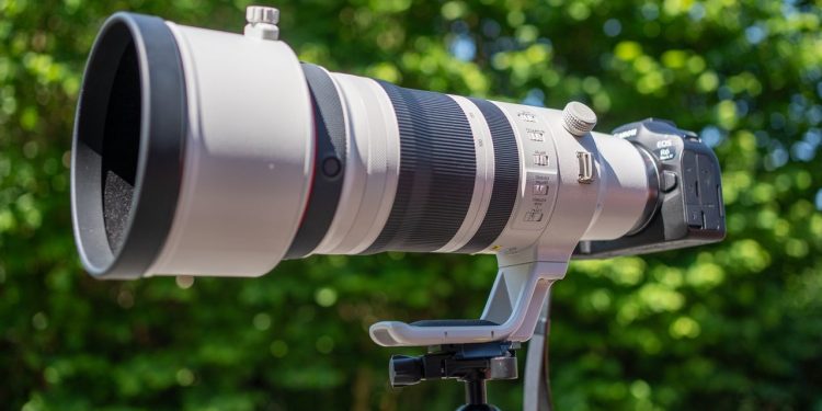 We tested Canon’s $10,000 wildlife zoom — can it replace a prime lens?