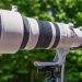 We tested Canon’s $10,000 wildlife zoom — can it replace a prime lens?