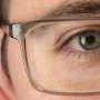 Lab-grown aging eye model reveals early AMD markers in weeks