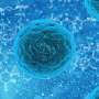 Study proposes reconsidering how histone deacetylase inhibitors work in cancer treatment
