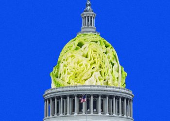 Taylor Farms Spent Big on MAGA and Anti-Regulatory Lobbying Before Diarrhea Outbreak