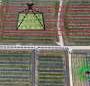 Researchers develop new AI system for highly accurate mapping and modeling of orchards