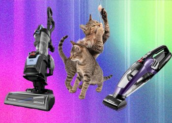 The Best Vacuum for Pet Hair—We Tested Many to Find Which Ones Work Best (2026)