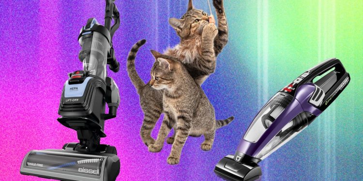 The Best Vacuum for Pet Hair—We Tested Many to Find Which Ones Work Best (2026)