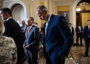 Mike Johnson’s budget blueprint faces Senate GOP buzzsaw