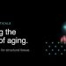 Engineered Enzymes Can Repair Decades of Molecular Aging Damage
