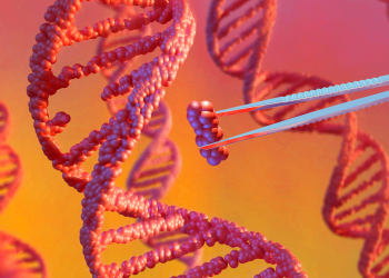 6-year-old in China dies after experimental treatment, investigation finds, raising questions about the country’s gene therapy regulations