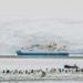 ‘I can’t work in the farce of climate change cruise tourism anymore’: Why Antarctic guides quit their dream jobs