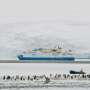 ‘I can’t work in the farce of climate change cruise tourism anymore’: Why Antarctic guides quit their dream jobs