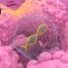 Drug Combo for Lung Cancer Beats Pembrolizumab in First-Line Trial