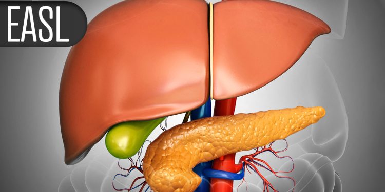 Enhanced MRI Tops Ultrasound in Catching Early Liver Cancer