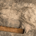 Mysterious Human Relative Was Bigger Than Previously Thought