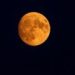 The 2026 Buck Moon Will Rise This Week, Coinciding with Three Active Meteor Showers