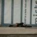 Hidden link: Brain injuries often come before homelessness, interviews reveal
