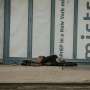 Hidden link: Brain injuries often come before homelessness, interviews reveal