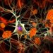 Alzheimer’s Signs Hidden in Midlife Brains, Study Shows