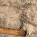 Ancient Footprints in Kenya Hint at Bigger Bodies and Group Behavior among Early Human Relatives