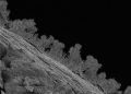 A vast world of rock-eating fungi lurks deep underneath the Great Lakes