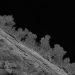 A vast world of rock-eating fungi lurks deep underneath the Great Lakes