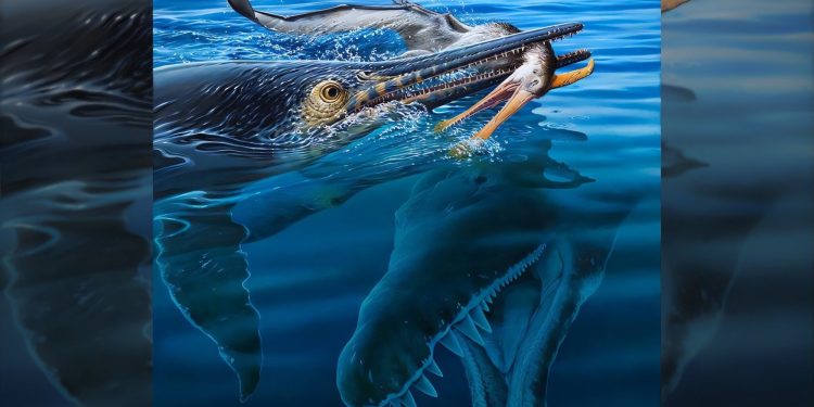 40-foot-long Kronosaurus ate a 23-foot-long marine reptile who ate a pterosaur, fossil shows