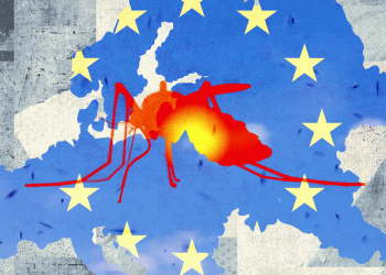 Tropical Diseases Like Dengue Fever and Chikungunya Are on the Rise in Europe