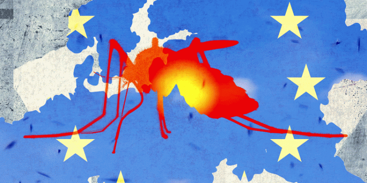 Tropical Diseases Like Dengue Fever and Chikungunya Are on the Rise in Europe