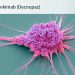 Decnupaz Approved for Rare Blood Cancer