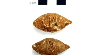 Roman soldiers pelted rebels with signed slingshot bullets