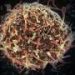 Experimental mRNA vaccine shows promise against multiple Ebola strains
