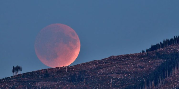 What’s Up: August 2026 Skywatching Tips from NASA