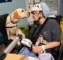 Good dog! More children’s hospitals turn to furry caregivers to help kids heal