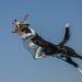35 delightful images from the 2026 International Pet Photography Awards