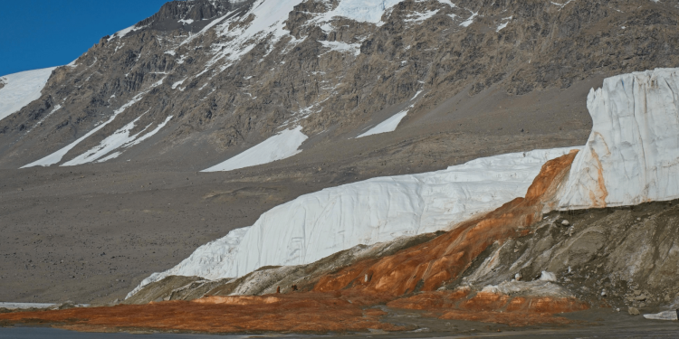 Antarctica’s Blood Falls teems life from unexpected source