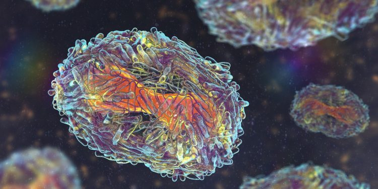 Monkeypox Has the Potential to Mutate and Resist Antiviral Treatment, FDA Warns