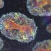 Monkeypox Has the Potential to Mutate and Resist Antiviral Treatment, FDA Warns