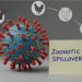 The Sunday Edition: Zoonoses