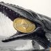 Ethereum whale exits after 10 years – Why this is not just a bearish signal
