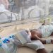 Study Reassures on Probiotic Sepsis Risk in Very Preterm Infants