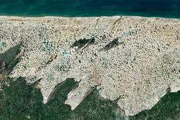 This Paradoxical Desert Landscape Is Filled with Fresh Water